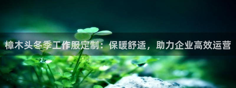 头号玩家娱乐app官网|樟木头冬季工作服定制：保暖舒适，助力企业高效运营